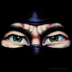Digital Ninja riddim version