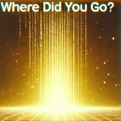 Where did you go?