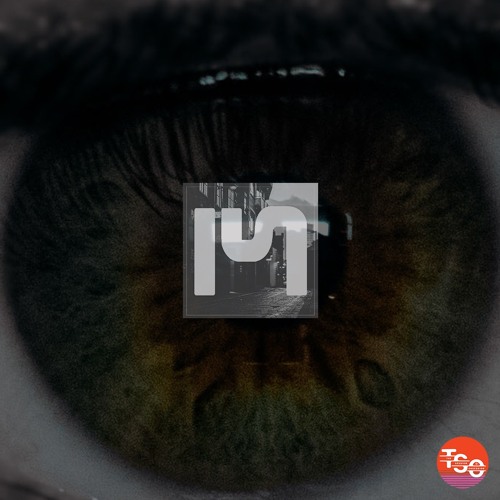 TSO - 010 Max Strong (House/Tech House Mix)