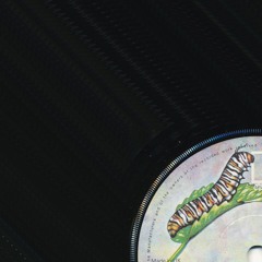 The Doors - The End (Cursed Reincarnation)