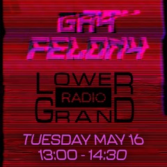 Lower Grand Radio Guest Show - Gay Felony - 05.16.2023