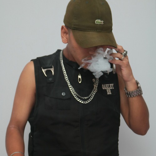 MONTAGEM ELA PEDIU PRA BOTAR (Áudio Oficial) DJ Gui do D3