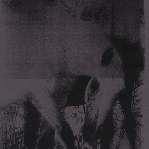 Veneer of Tolerance Mix by JK Flesh