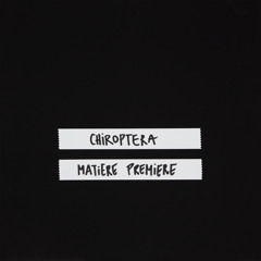 CHIROPTERA MATIERE PREMIERE