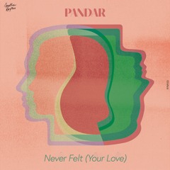 PREMIERE: Pandar - Never Felt (Your Love)[The Other Songs]
