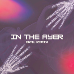 Flo Rida - In The Ayer (BRAU REMIX)