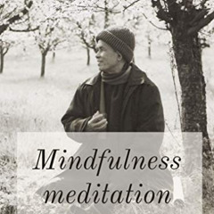 [VIEW] EPUB 🗸 Mindfulness meditation: Intimate conversations with the Buddha by  Thi