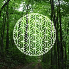 Growth (original)