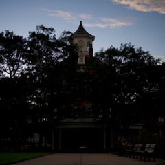 WhenWillYou | Log Vi