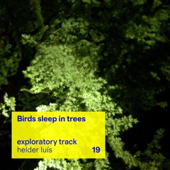 Birds sleep in trees