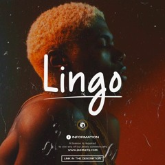 Burna Boy x Omah Lay x Wizkid [ Afrobeat Type Beat 2021 ] - ''Lingo''