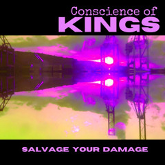 Salvage Your Damage ~Conscience of Kings