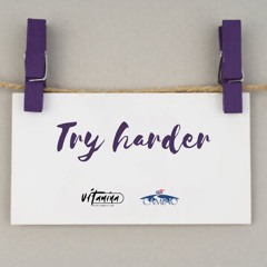 Try Harder, Pilar