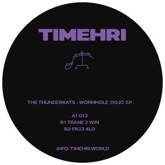 TMH004 THE THUNDERKATS - WORMHOLE DOJO EP