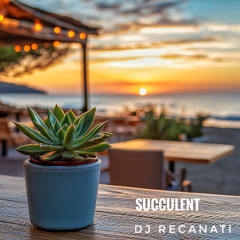 Succulent - DJ Recanati