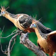 Trailhead 2024   pt.2