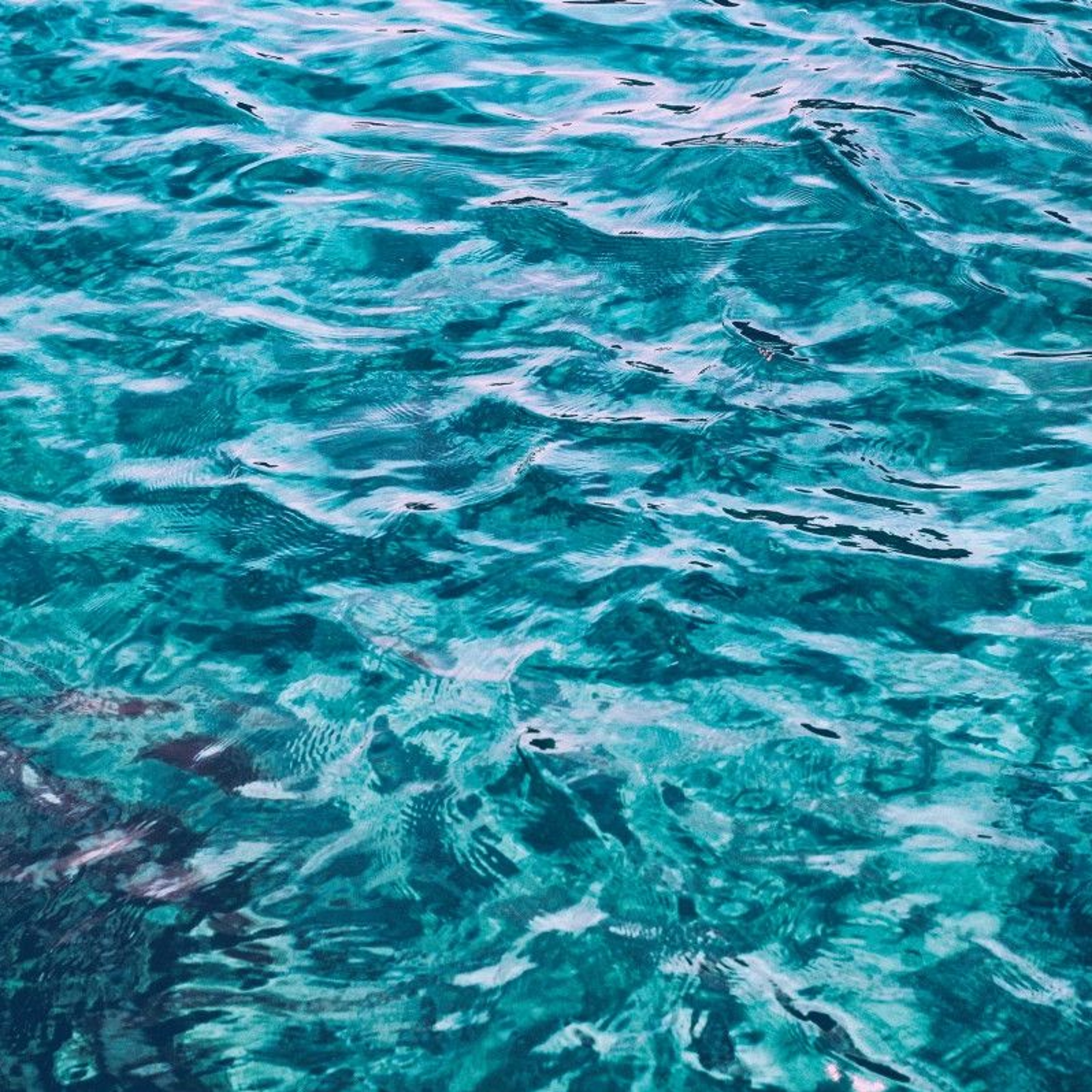 Floating in the Sun episode artwork