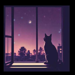 What is true love_