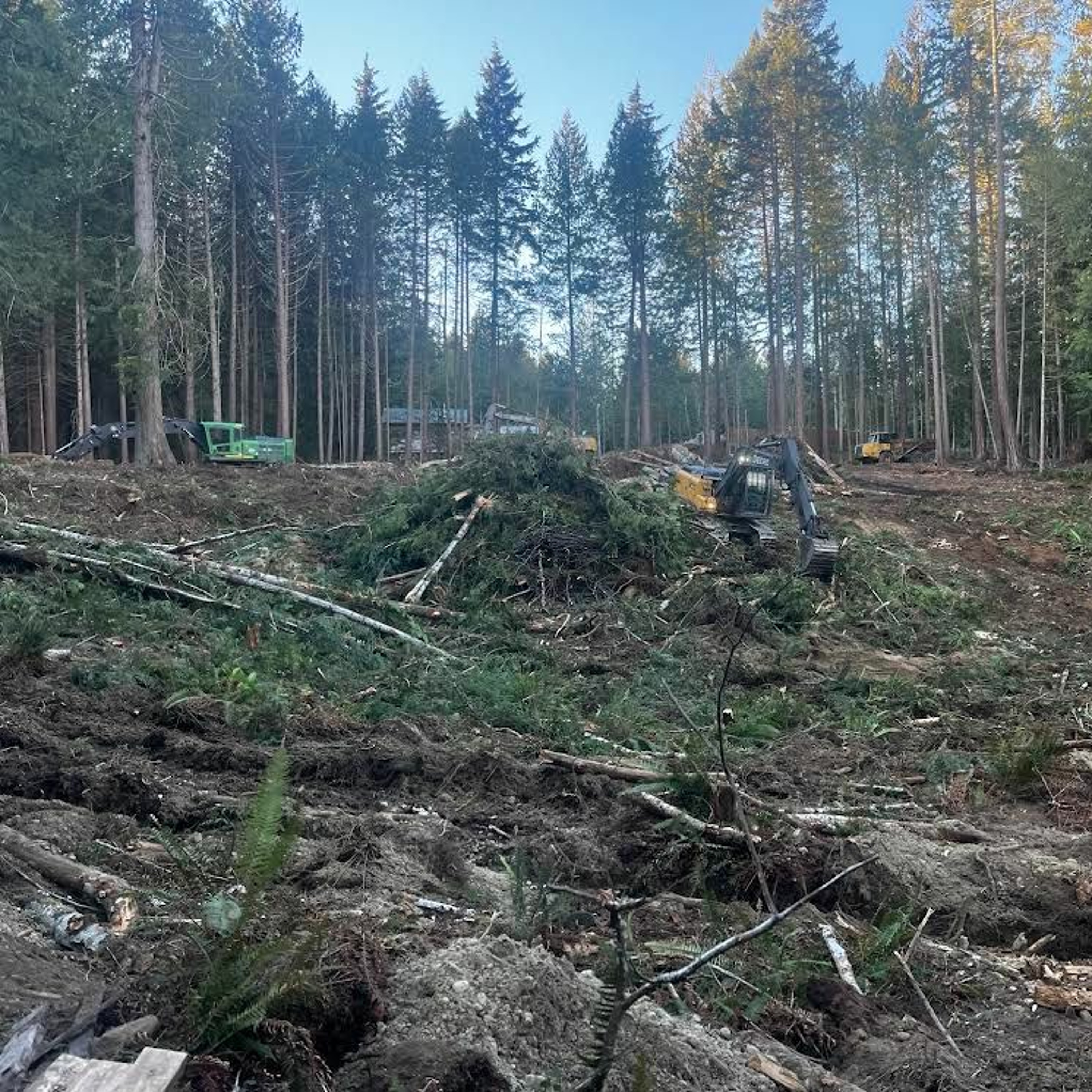 QXMC Squirrel Cove Project On Track To Open Later This Year