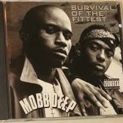 Mobb Deep Survival Of The Fittest Remix