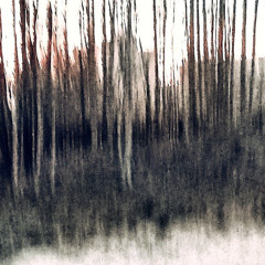 untitled (7) (forzen)