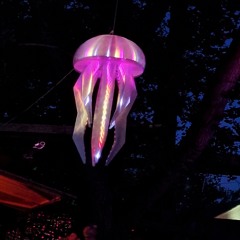 Vicodin live @ NBBB 19 (20220805)