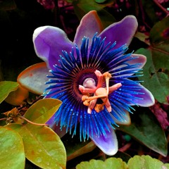 .•´*¨`*•❀ Primaveriditas Ecstatic Dance ❀•*`¨*`•.