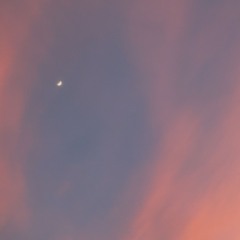 rises the moon (cover by er1c4)