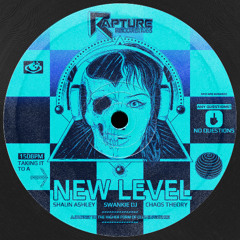 Shaun Ashley X Swankie DJ X Chaos Theory - A New Level (Preview) (Out 15.1.26)