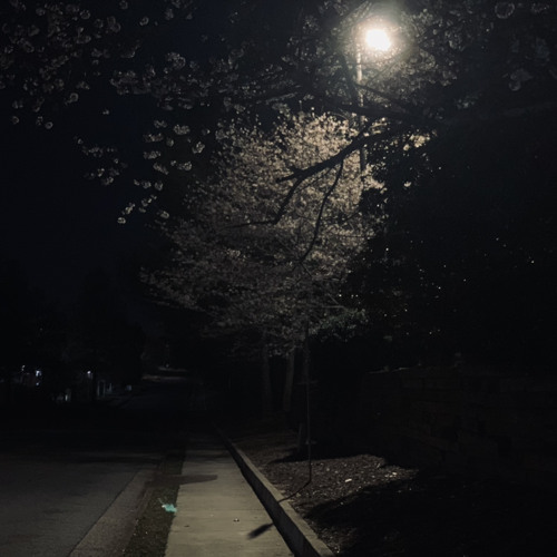 Gone (prod. stillhrd)