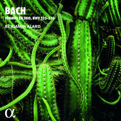 Sonata No. 2 in C Minor, BWV 526: II. Largo