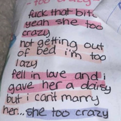 Too Crazy