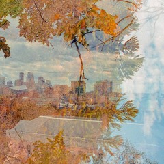 leaves swarm your body at dusk