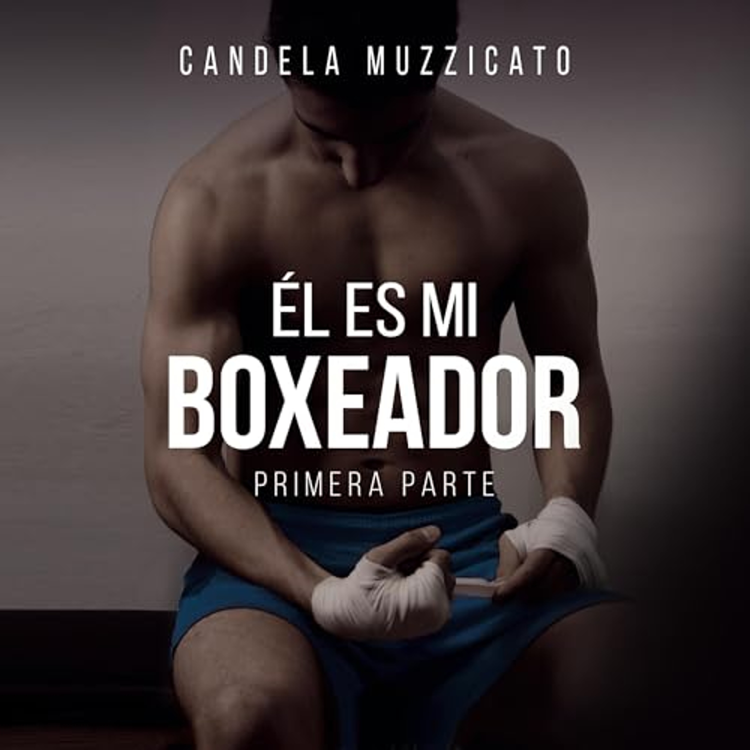 Él es mi boxeador [He Is My Boxer] (Audiolibro) | Prueba Gratis