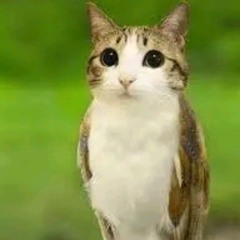 monster mash whistle