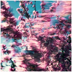 20 (Instrumental)