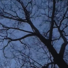 fragment (reworked)