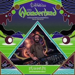 DJ Fluoelf - Waldfrieden Wonderland 2023 (Forest to DarkProg) Dec'23 Live Rec