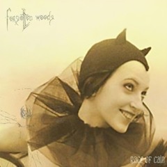 Intolerance Is the New Law