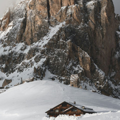Snowed In