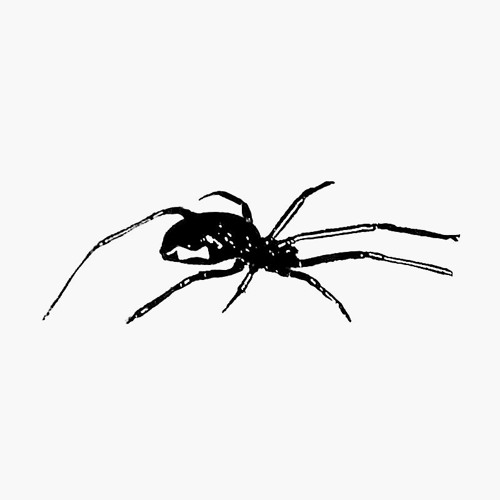 black widow (prod. ripkanashi)