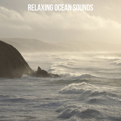 Listen to the Ocean