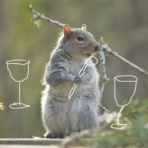 squirrel mess with wine glasses