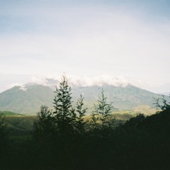 analog diaries #4