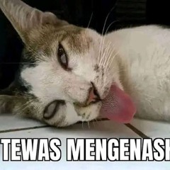 Bintang 14hari - Kangen band Slowed  reveb