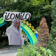 개나리공원 X Ilomilo (인서기 remix)