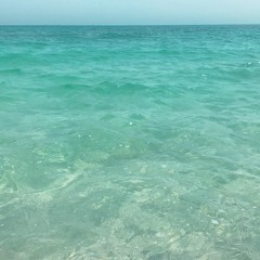 راشد الماجد - عبدالمجيد عبدالله