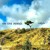 Artwork for "On The Dunes" - a Playlist