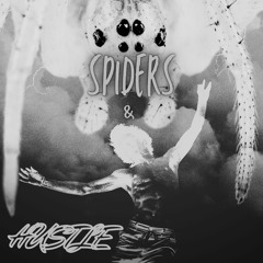Spiders & Hustle
