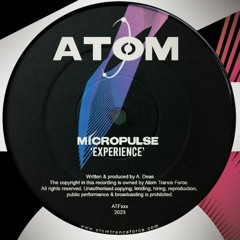 Micropulse - Experience